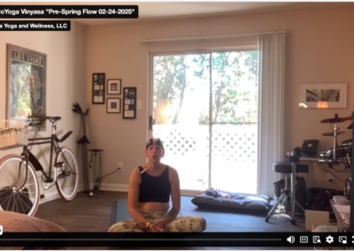 Vinyasa – “Pre-Spring Flow 02/24/25”